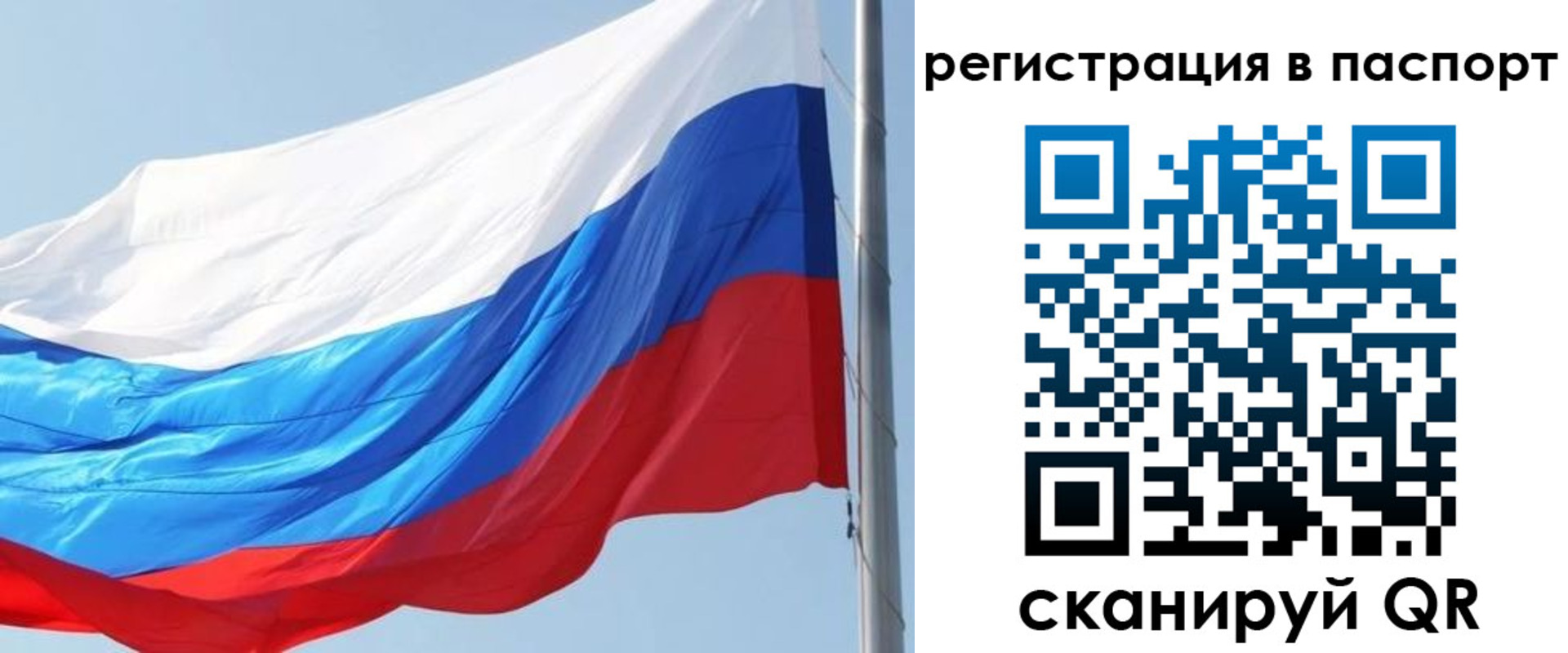 прописка законно в Лесозаводске